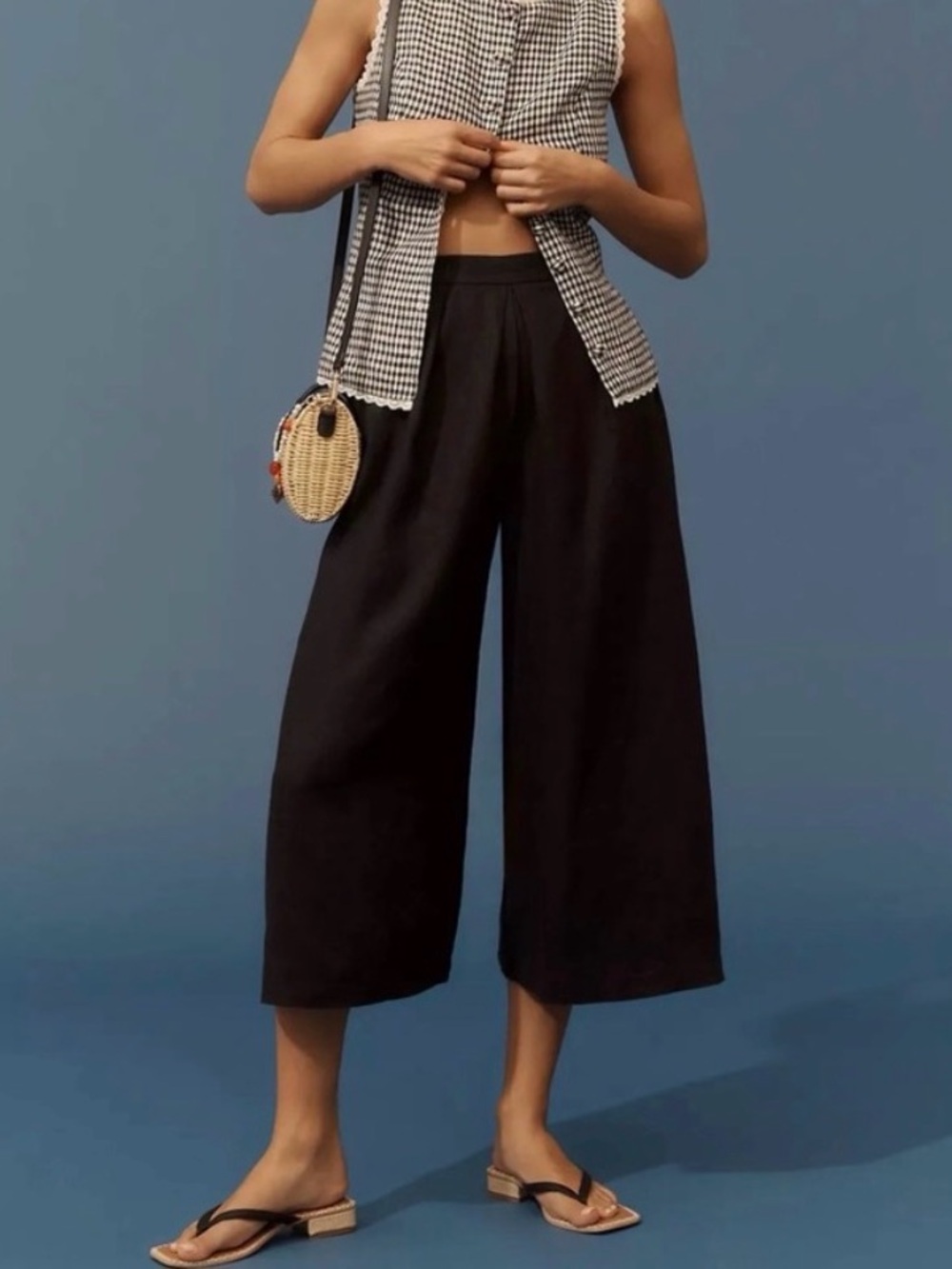 NWT Anthropologie Linen Pleated Culotte Wide Cropped Pants